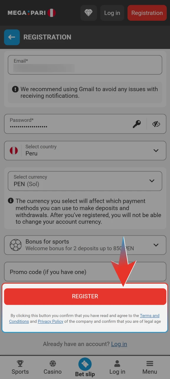 Accept the terms and conditions to finish your Megapari account registration.
