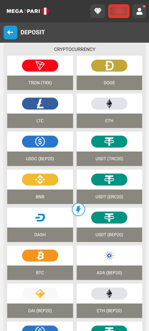Choose your payment method and the amount to deposit at Megapari.