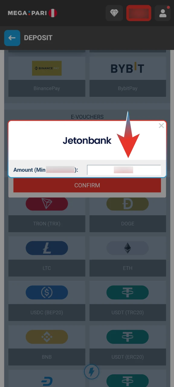 Enter your payment details or scan the code to pay Megapari.