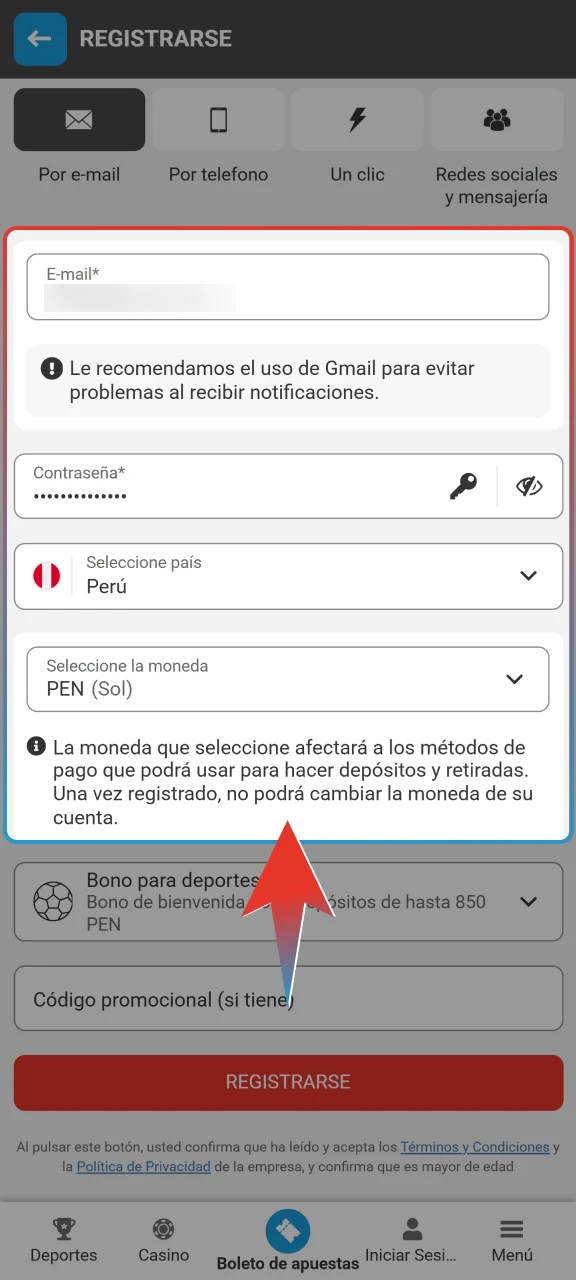 Ingresa tu información personal incluyendo nombre, documento de identidad y dirección dentro de Megapari.