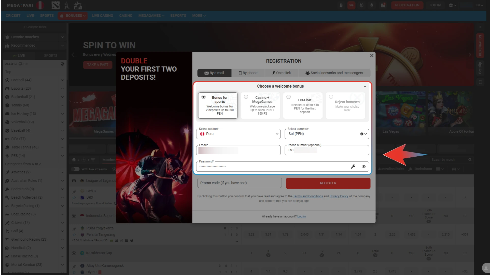 Enter your personal details to complete your Megapari account setup.