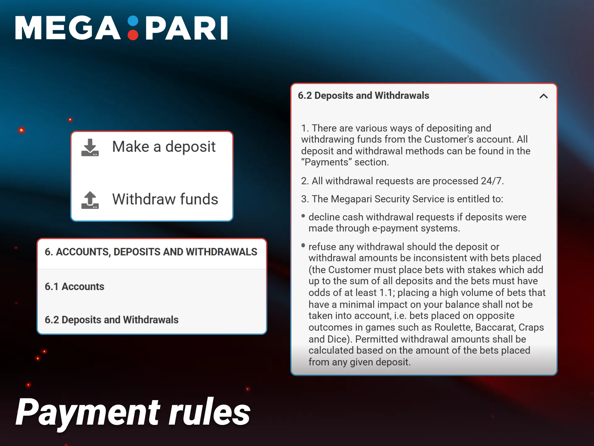 Review the official transaction rules and conditions before paying on Megapari.