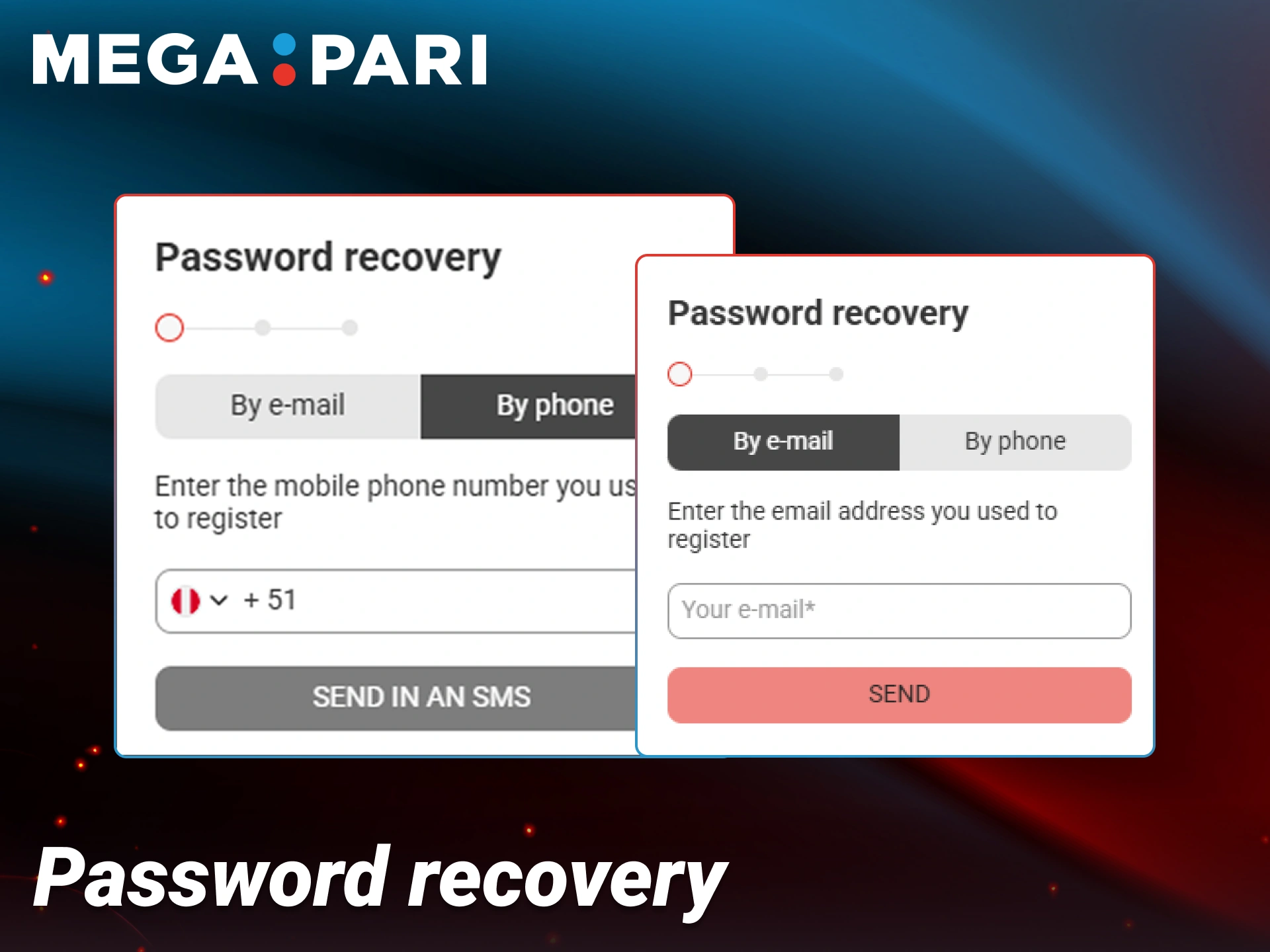 Reset your forgotten credentials to access your Megapari account again.